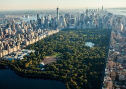 Dünya azərbaycanlıları Nyu-York merinə müraciət ediblər - <span class="color_red">FOTO</span>