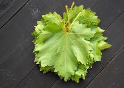 Üzüm yarpağı quru halda bankaya qoyulur?