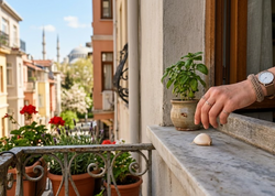 Mayda balkona bir diş sarımsaq qoyan o dərddən qurtulacaq