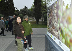 Leyla Əliyeva “Azərbaycan təbiətinin izi ilə” sərgisinin açılış mərasimində iştirak edib - <span class="color_red">FOTO</span>