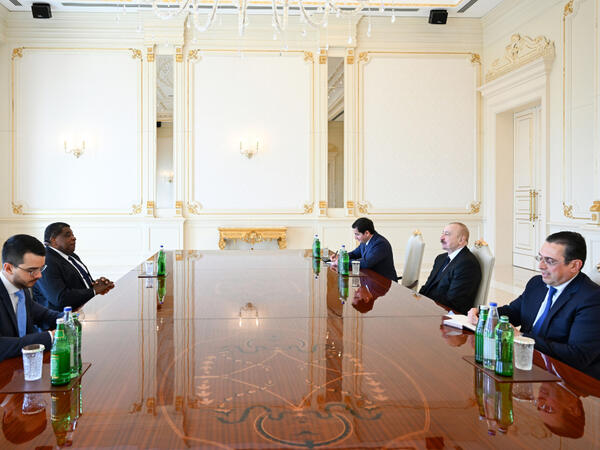 Prezident İlham Əliyev Parlamentlərarası İttifaqın Baş katibini qəbul edib - <span class="color_red">FOTO</span>