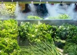Market rəflərindəki su spreyləri nəyə xidmət edir? Təravətli görünüşün pərdəarxası