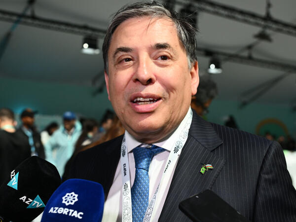 Braziliya səfiri: Azərbaycanın təcrübələrini öyrənəcəyik