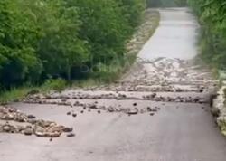 Qubada yol çökdü - 3 kəndin yolu bağlandı - VİDEO