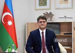 Meşələrin mühafizəsində yeni dövr: Azərbaycanda süni intellekt və dronlar tətbiq ediləcək