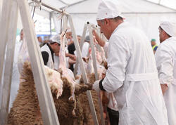 Qurbanlıqları bu ünvanlardan ala bilərsiniz