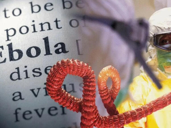 Dünyanın yenə anlamaq istəmədiyi yeni Ebola dərsi