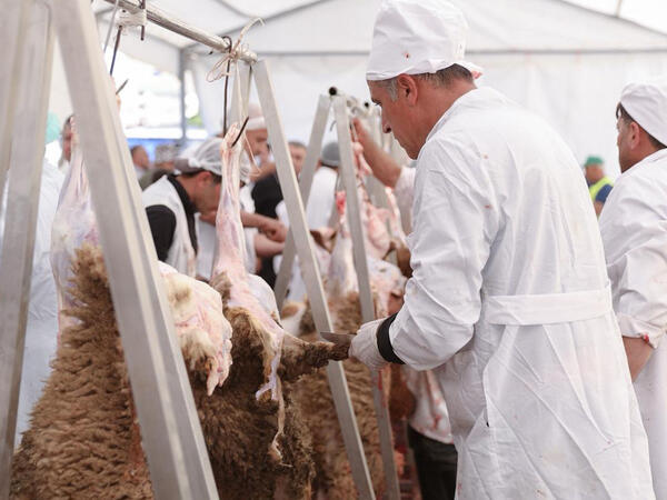 Qurbanlıqları bu ünvanlardan ala bilərsiniz