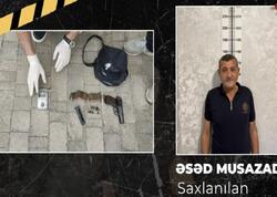Qobustanda “Makarov” gəzdirən şəxs həbs edildi