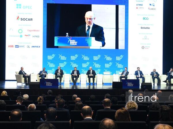 "Enerji sahəsində əməkdaşlığa dair" Bakı Bəyannaməsi qəbul edilib
