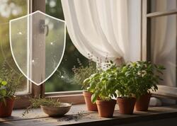 Pəncərənizin önünə qoyun, ağcaqanadlar yaxın gəlməsin