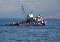 Türkiyə gəmisinə hücum - ölən və yaralananlar var