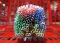 Bu yay plastik pipetdən istifadə etməzdən əvvəl iki dəfə düşünün