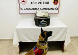 Türkiyədə Azərbaycan vətəndaşından külli miqdarda narkotik götürüldü