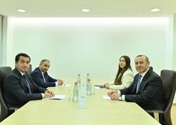 Hikmət Hacıyev ilə Armen Qriqoryan Ermənistanın Dilican şəhərində görüşüb