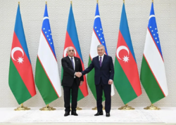 Əli Əsədov Özbəkistan Prezidenti ilə görüşdü