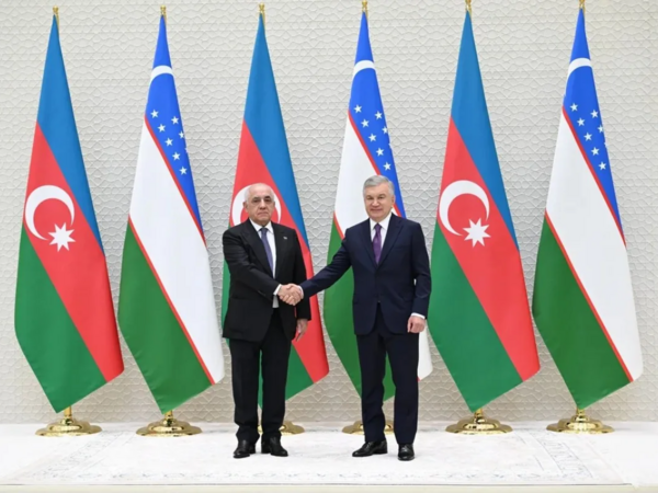 Əli Əsədov Özbəkistan Prezidenti ilə görüşdü