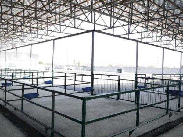 Bakıda yeni bazar fəaliyyətə başladı