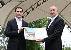 Türkmənistan Prezidentinə Qarabağ atı hədiyyə edilib (Foto)