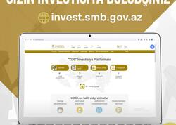 İnvestisiya Portalı: sahibkarları və investorları bir platformada birləşdirən dəstək aləti