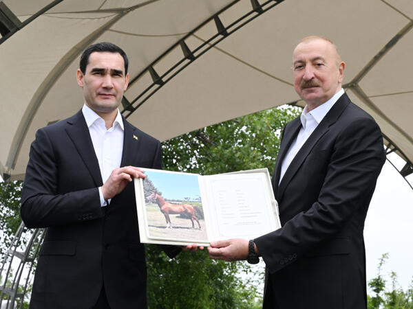 Türkmənistan Prezidentinə Qarabağ atı hədiyyə edilib (Foto)