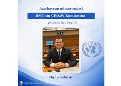 Azərbaycan təmsilçisi yenidən BMT-nin CEDAW Komitəsinin üzvü seçilib