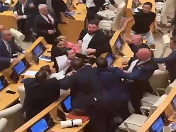 Gürcüstan parlamentinin iclasında dava düşüb - VİDEO