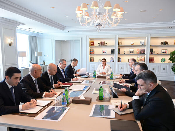 Birinci vitse-prezident Mehriban Əliyevanın sədrliyi ilə Rəqəmsal İnkişaf Şurasının ilk iclası keçirilib (Foto)