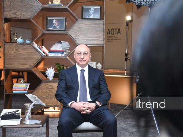 Azərbaycanda hormonlu broyler toyuqları yetişdirilmir - AQTA sədri
