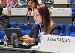Deputat: Bu gün regionumuzun davamlı sülhə nail olmaq üçün real imkanı var