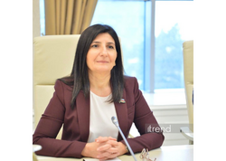 Rəqəmsal İnkişaf Şurasının yaradılması ilə qanunvericiliyin təkmilləşdirilməsi dinamik xarakter alıb - Sevil Mikayılova