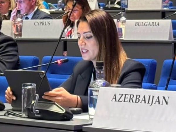Deputat: Bu gün regionumuzun davamlı sülhə nail olmaq üçün real imkanı var