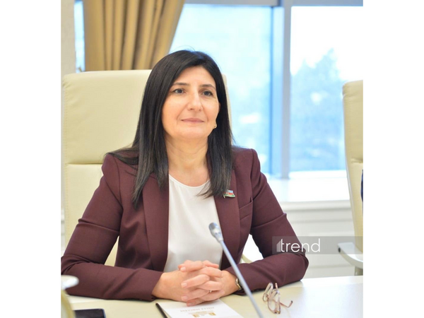 Rəqəmsal İnkişaf Şurasının yaradılması ilə qanunvericiliyin təkmilləşdirilməsi dinamik xarakter alıb - Sevil Mikayılova