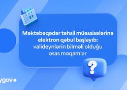 Məktəbəqədər təhsil müəssisələrinə elektron qəbul başladı