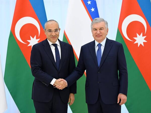 Mikayıl Cabbarov Özbəkistan Prezidenti ilə görüşüb <span class="color_red">(Foto)</span>