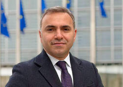 Elzar Ağayev departament müdiri təyin olundu