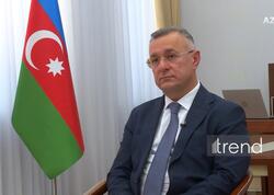 Azərbaycanda hüceyrə terapiyası mərkəzi yaradılır