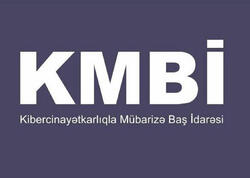 Kiberpolis fişinq şəbəkəsinin daha iki üzvünü saxladı