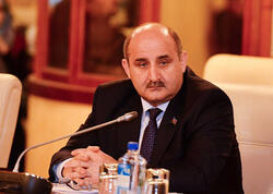 Qənimət Zahid Çingiz Qənizadəyə təzminat ödədi