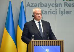Ukrayna XİN başçısı Qara dənizdə həlak olan Azərbaycan vətəndaşları ilə bağlı başsağlığı verib