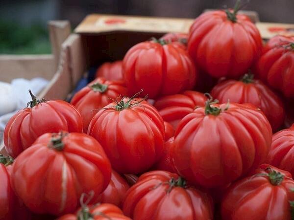 Yumşalmış pomidoru dəyərləndirməyin ən ləzzətli yolları
