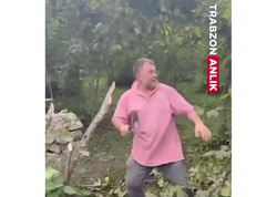 Türkiyədə kəndçilər dəliyə döndü - Fındıq ağaclarını baltaladılar - <span class="color_red">(Video)</span>