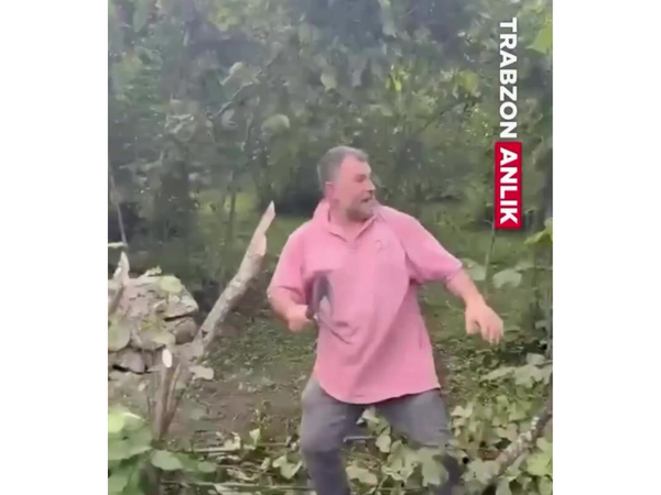 Türkiyədə kəndçilər dəliyə döndü - Fındıq ağaclarını baltaladılar - <span class="color_red">(Video)</span>