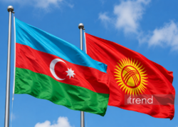 Azərbaycan və Qırğızıstan arasında əməkdaşlıq haqqında Anlaşma Memorandumu təsdiqlənib