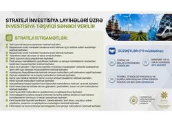 Strateji investisiya layihələri üzrə investisiya təşviqi sənədinin verilməsi davam edir