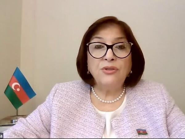 Sahibə Qafarova Alimlər və Parlamentarilər üçün 4-cü beynəlxalq seminarda çıxış edib - <span class="color_red">(Foto)</span>