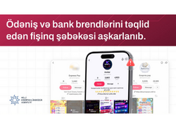 Ödəniş və bank brendlərini təqlid edən fişinq şəbəkəsi aşkarlanıb