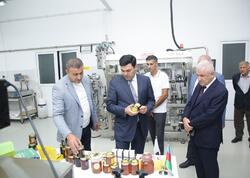 Xaçmaz rayonunda arıçılıq və bal emalı sahəsinin inkişafı diqqət mərkəzindədir - <span class="color_red">(Foto)</span>