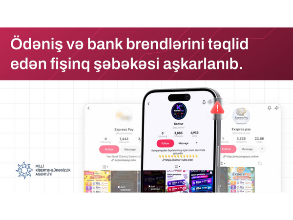 Ödəniş və bank brendlərini təqlid edən fişinq şəbəkəsi aşkarlanıb