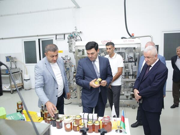 Xaçmaz rayonunda arıçılıq və bal emalı sahəsinin inkişafı diqqət mərkəzindədir - <span class="color_red">(Foto)</span>